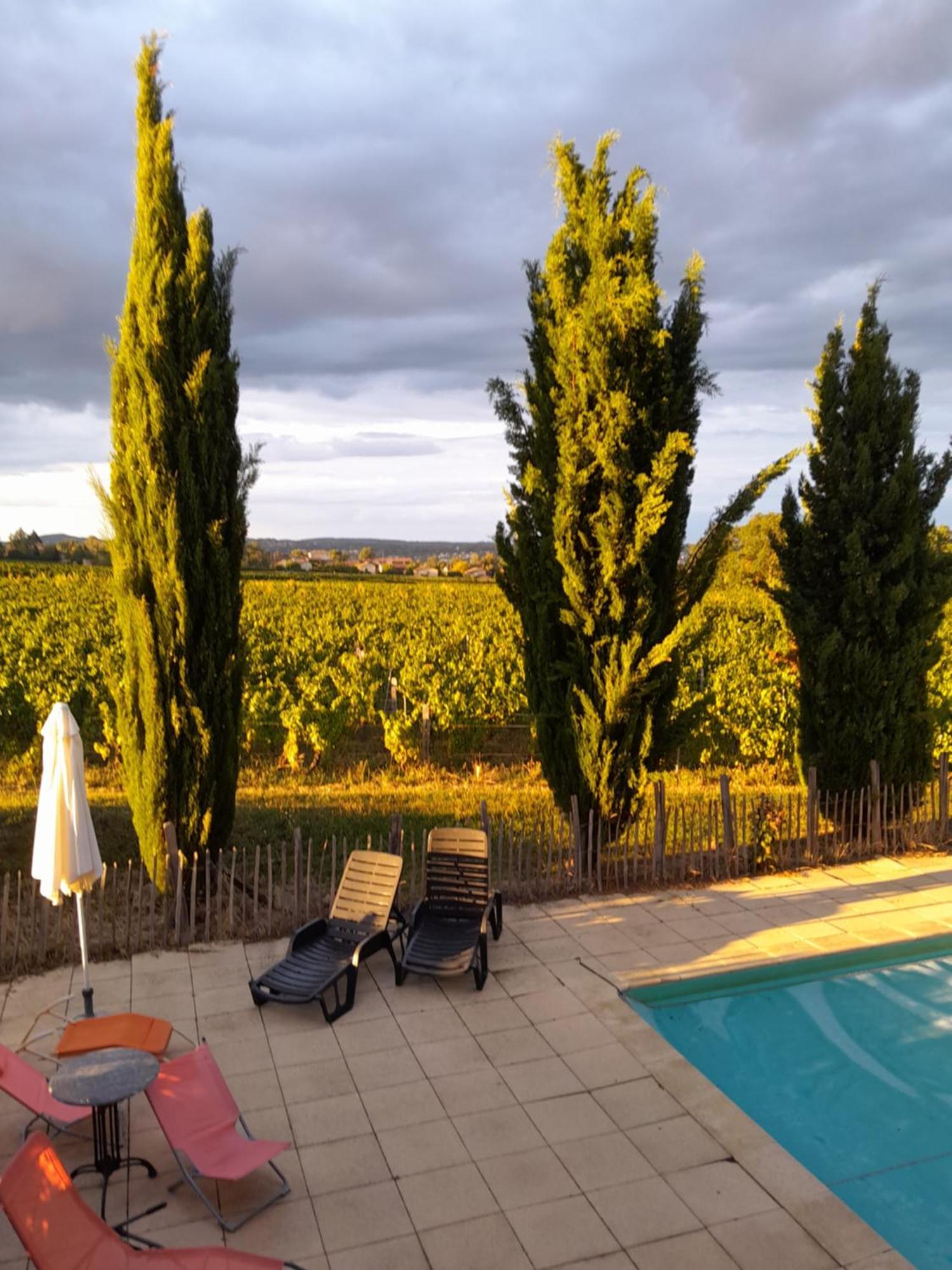 La Cote Des Blancs - Domaine Viticole & Maison D'Hotes Vinzelles Dış mekan fotoğraf