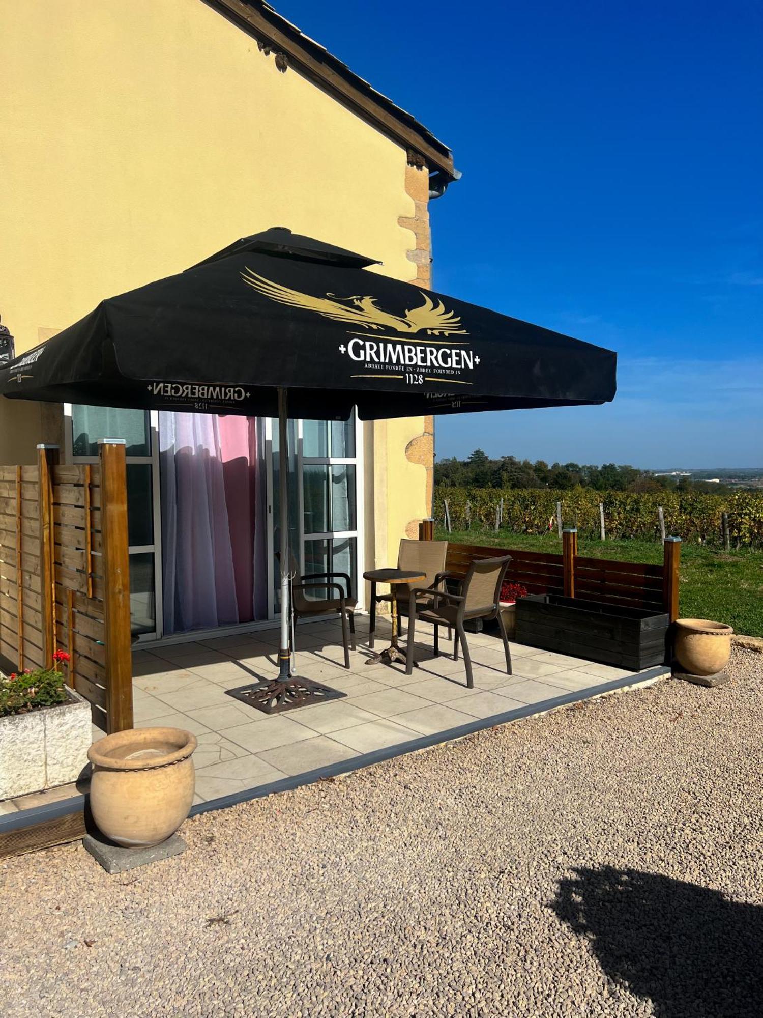 La Cote Des Blancs - Domaine Viticole & Maison D'Hotes Vinzelles Dış mekan fotoğraf